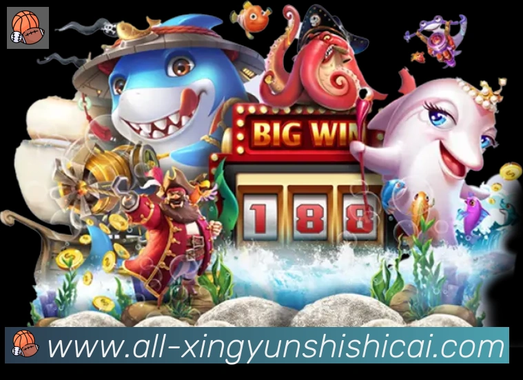 未来规划
